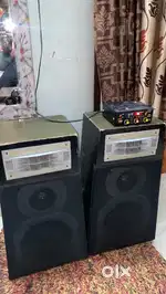 Speaker and amplifier