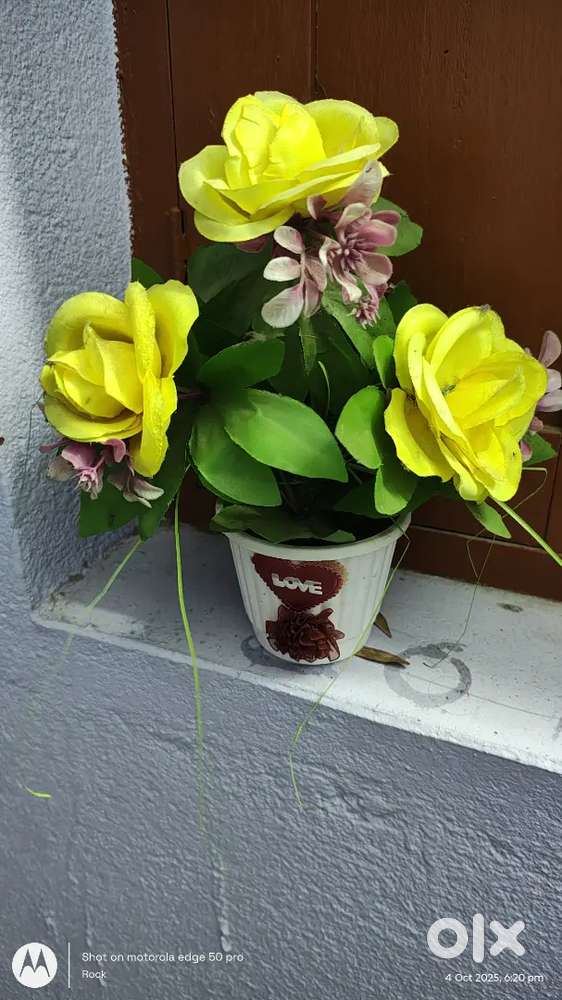 Flower for Home
