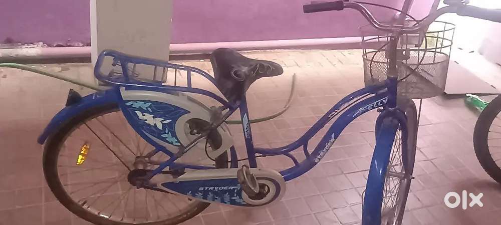 Lady Bird cycle , stryder model