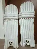 Cricket kit