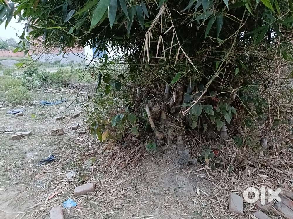 Plot in Baraipur, Narayanpur Mirzapur