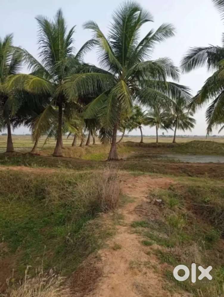 Agricultural land for sale- 5 acres 35 cent(50lakh per acre)