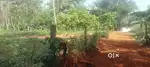 5,6,7,10,15 CENT HOUSE PLOT FOR SALE