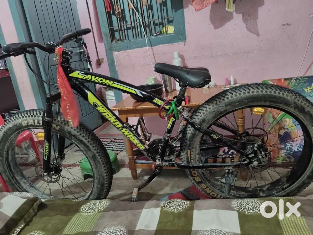 Fat bicycle