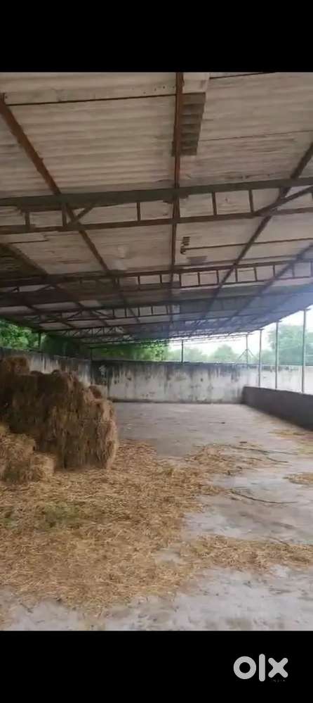 Cheapest shed for rent at Ahmedabad