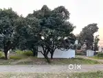 East Facing Corner Plot, Owned by Defence Personnel Free Hold