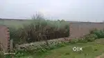 1 Katha 5 Lecha land in Azara