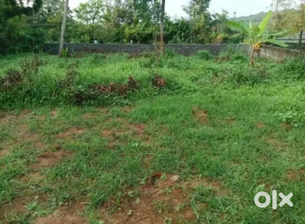 03 Decimal Plot For Sale