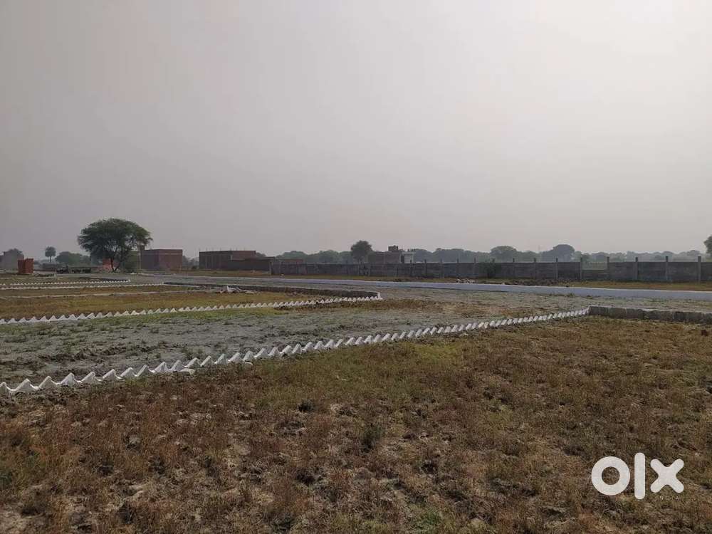 Profitable property in affordable rate