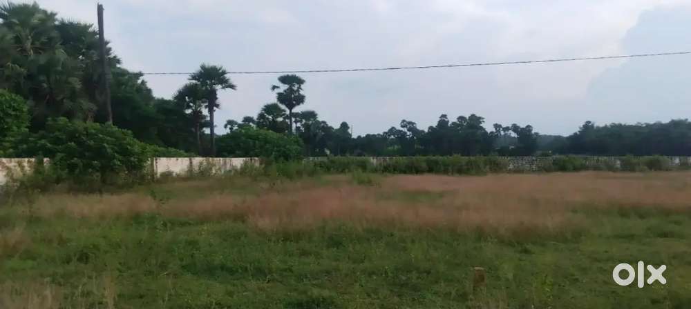 Vizag to Vizianagaram highway near panchayat plots