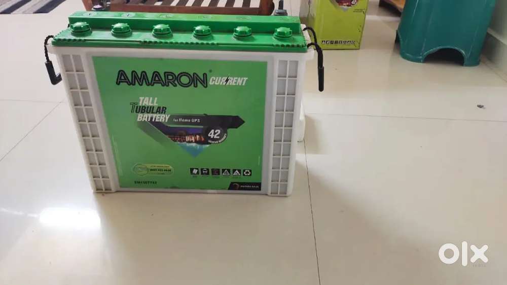 AMARON current tall tubular battery