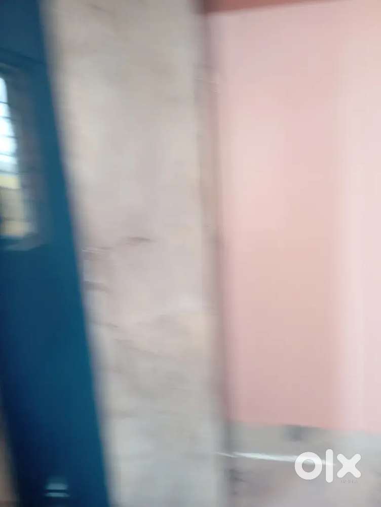 2bhk at a reasonable price