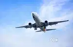 Ground Staff jobs in indigo Airlines urgent hiring