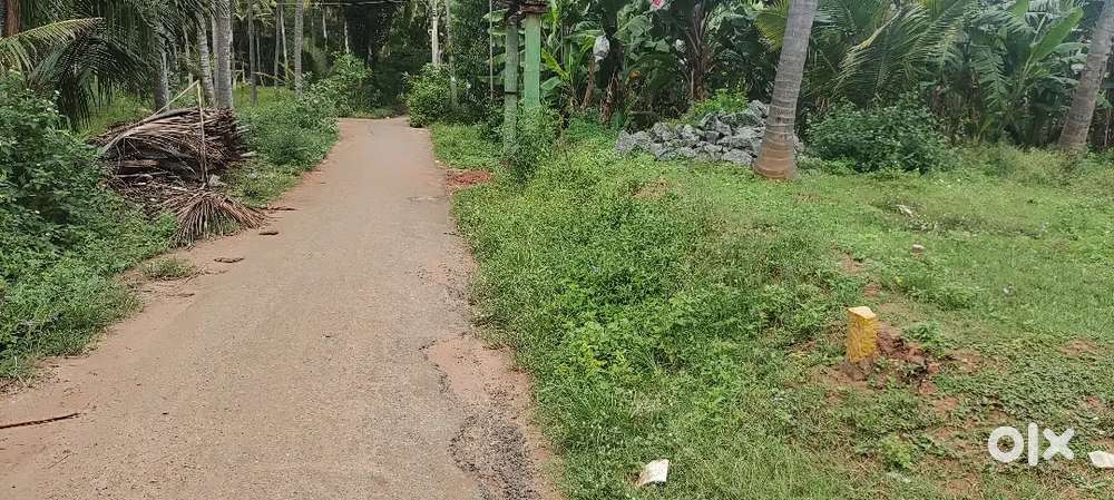 Property At Rajakamangalam