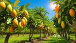 Farm Plots available for sale in Ramnagar not far from Bangalore