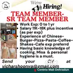 Team Member