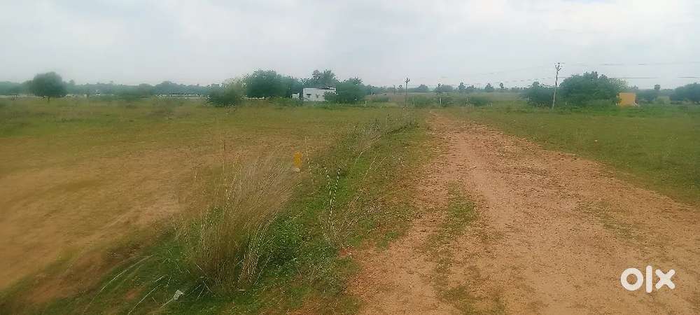 Panjapur bustand Fathima nagar (kathalur)