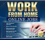 Work from home job