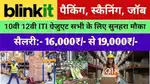 (Blinkit store) में काम करने के लिए !!लड़के और लड़कियों की जरुरत है !