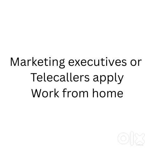 Marketing executive or Telecaller