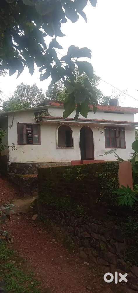 Kottayam amalagari bk college junction