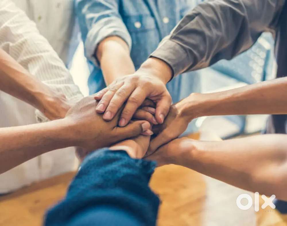 Colloection EXECUTIVE