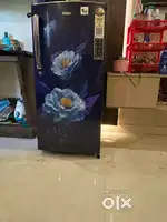 8 minths older fridge