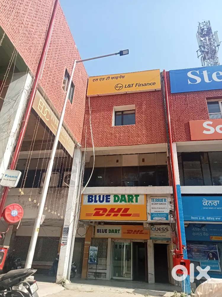 Urgent required 8 boys document delevery work