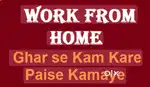 Work from home ghar se paise kamaye