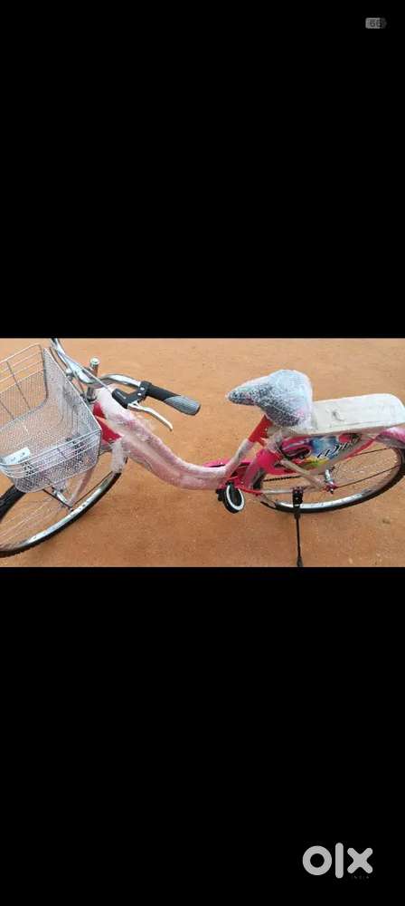 Selling the new bicycle