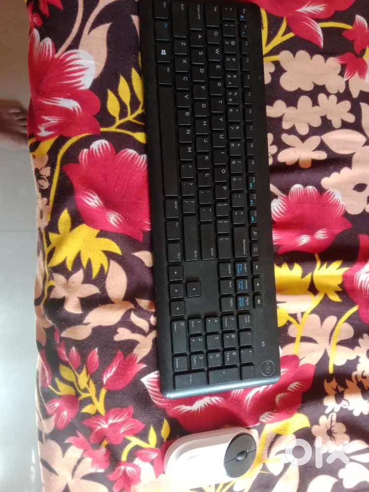 Dell wireless keyboard and Portronics wireless mouse