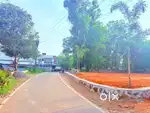 21 cent house plot land for sale kakkanad near Infopark
