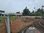 3 Cent Residential Plot (Purayidam) for Sale – Neericode, Near Kongorp