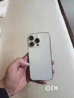 14 pro rose gold