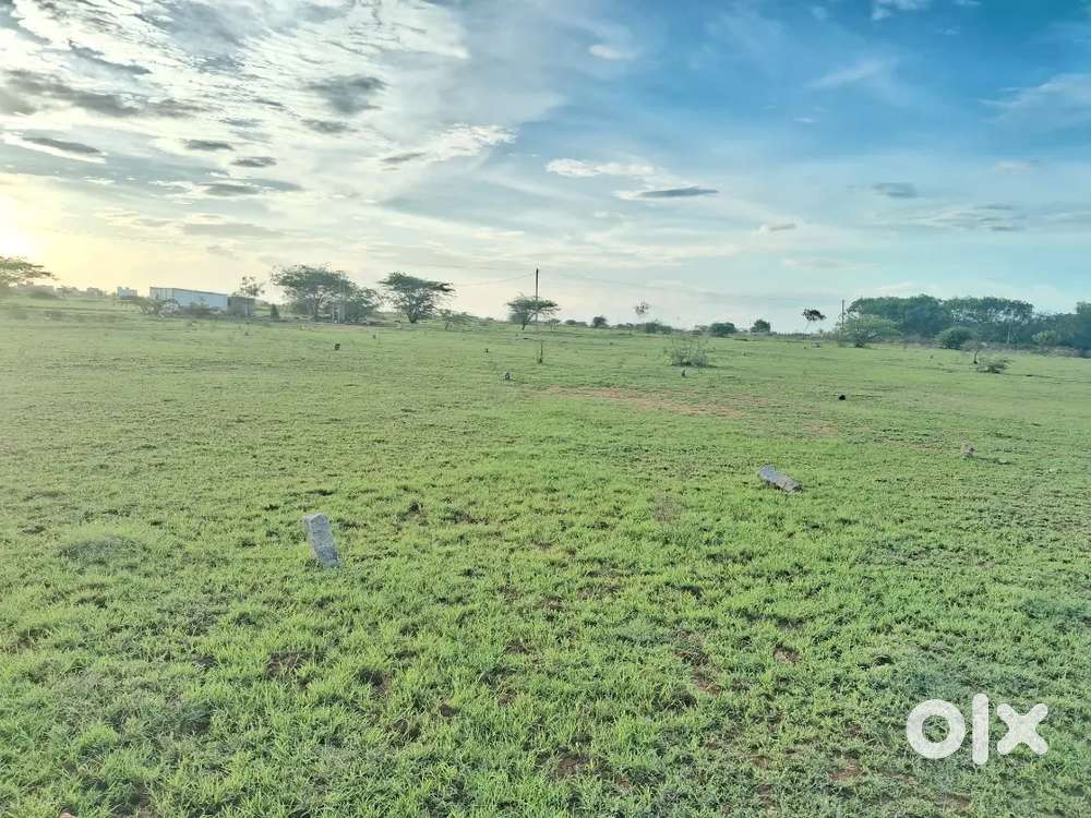 Land for sale