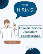 Financial Service Consultant
