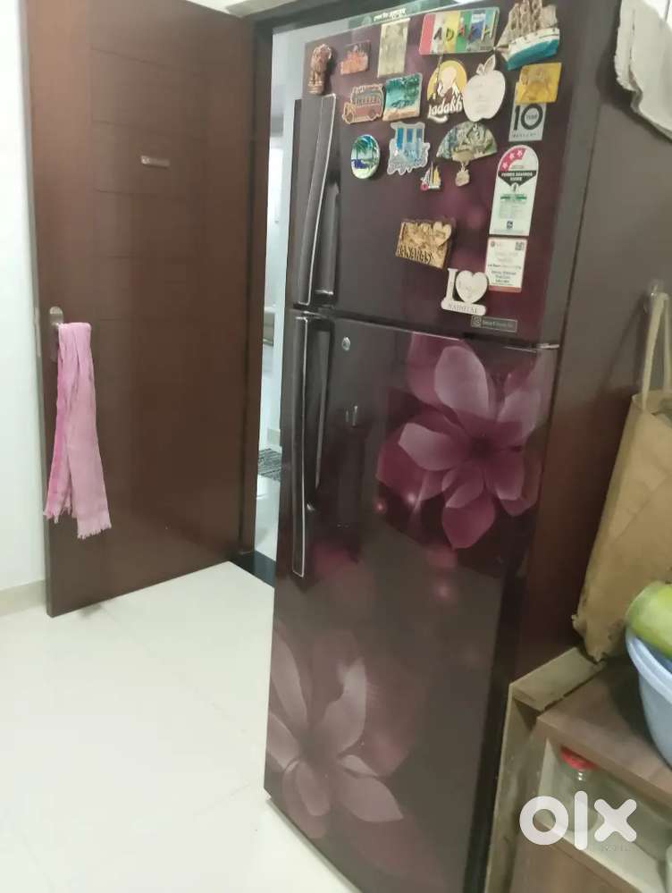 Lg refrigerator
