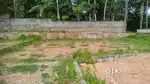 5 cent plot in Meppukada, malayinkeezhu