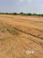 Low budget