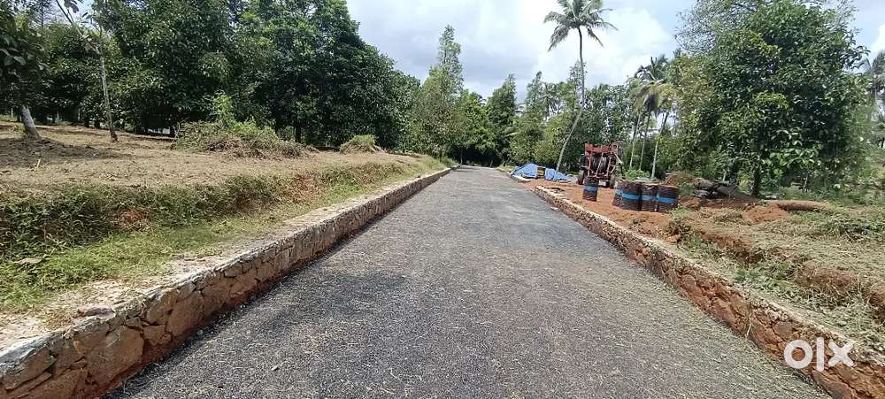 ANGAMALY KARUKUTTY 2 KM 5,6,8, 10, 20 CENT PLOTS