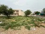 Kisaan colony