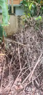 Fire wood , marachilakal