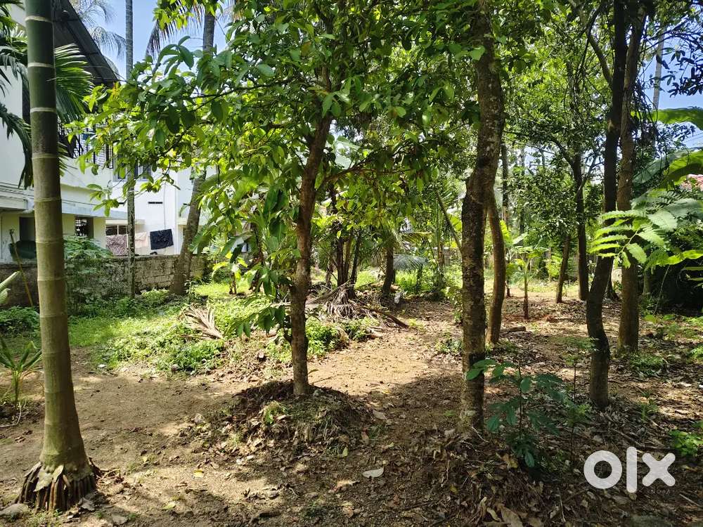 10 CENT POSH RESIDENTIAL PLOT FOR SALE 6MTR WIDE ROAD FRONTEGE