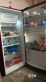 Fridge / Refrigerator