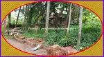 7 cents House plot for sale in West Hill near Govt Polytechnic