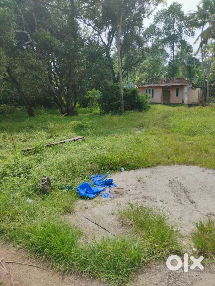 PARAVOOR PUNCHIRAKULAM 21 CENT PLOT FOR SALE