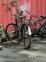 Ghoda cycle