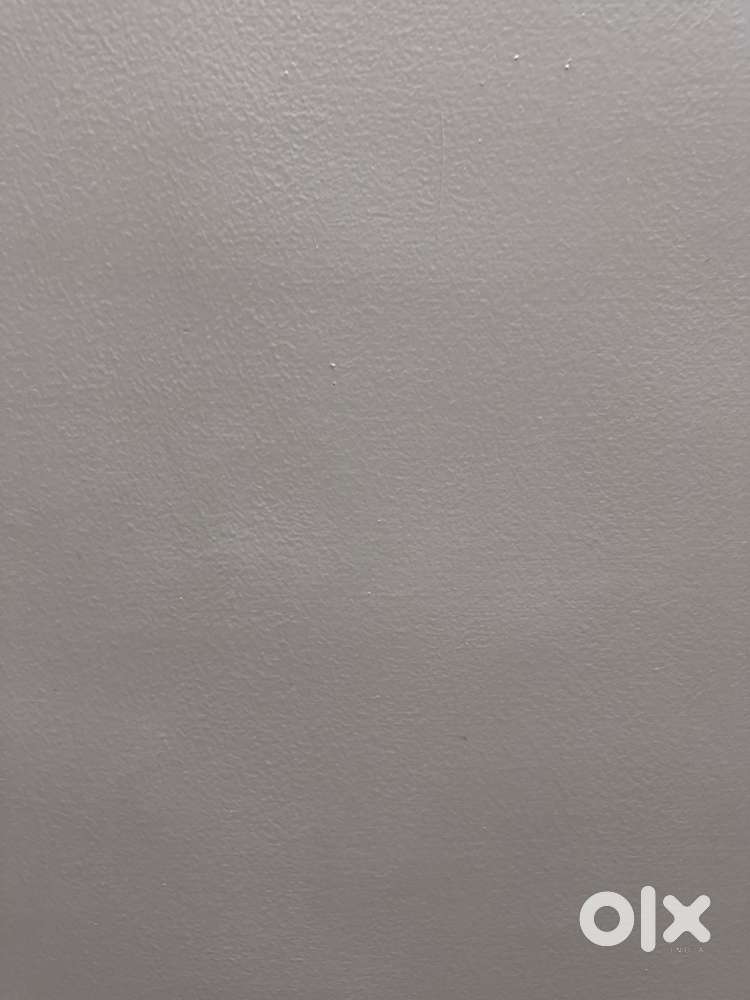 Accountant with office staff