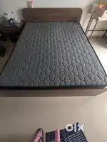 The sleep company mattress
