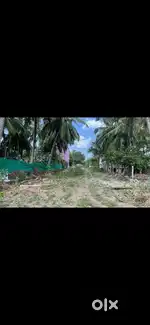 15 cent land in therakalputhoor for sale